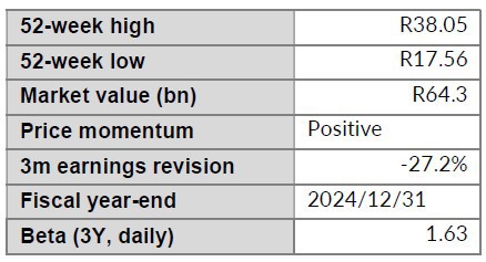 SSW Company Data